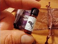 Rebirth Paradox™ — 3 perfume sample vials — Halloween in Spring — half dram (2ml) vials