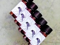 CHRISTMAS MEDLEY™ Perfume Sampler - Set of Five Sample Vials - Holiday Perfume - Winter Fragrance - Christmas Perfume — half dram (2ml) vials